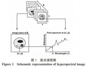 ?高光譜圖像數(shù)據(jù)處理方法